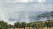 Bingöl Gökçeli köyündeki orman yangını paniğe yol açtı