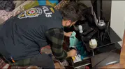 Yasa dışı bahis şebekesine 5 ilde büyük darbe