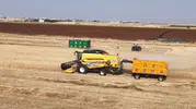 Kahta’da hasat mesaisi başladı