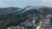 Burhaniye zeytinliklerinde korkutan yangın söndürüldü