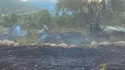 Hassa'da zeytinlikleri alevler sardı