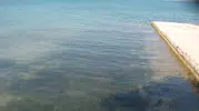 Didim plajlarında deniz suyu kalitesi tescillendi
