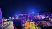 Bingöl yolunda gece vakti at kazası Bir kişi hayatını kaybetti