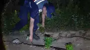 Mersin'in ormanlık alanında gizli kenevir tarlaları ortaya çıkarıldı