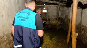 Van'da bir mahalle kuduz riski nedeniyle karantinaya alındı
