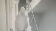 Eyüpsultan'da yaşlı kadını sahte operasyon yalanıyla dolandıran 3 kişi tutuklandı