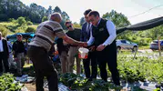 Bilecik’te çilek tarlasına inen Vali Sözer üreticiyle buluştu
