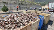 Mersin yolunda kaza sonucu 15 ton balık atığı yola saçıldı