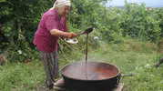 Ordu’da geleneksel dut pekmezi mesaisi başladı