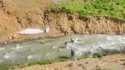 Pancar toplamaya giden kadın derede mahsur kaldı