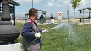 Sincan parklarında sinek ve böcek temizliği başladı