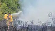 Muğla ormanlarında yıldırım alarmı