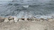 Van Gölü kıyılarında rüzgarın yarattığı dev dalgalar sahili vurdu
