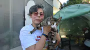İzmir'de erkek sanılan kedi doğum yapınca herkes şoke oldu