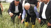 Ankara Kahramankazan’da dolu yağışı 14 bin dekarlık alanı yok etti