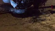 Alanya'da feci kaza 20 yaşındaki Rus sürücü hayatını kaybetti