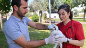 Antalya sokaklarında yaralı hayvanlar için 7/24 özel ambulans dönemi