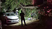 Eskişehir'de devrilen ağaç iki aracı hurdaya çevirdi