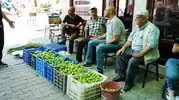 Aydın incir pazarında fiyatlar saatlik değişiyor
