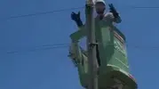 Amasya'da direğe çıkan kedi için enerji kesildi
