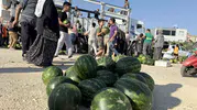 Tarsus’ta 30 ton karpuz kapış kapış gitti