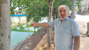Adanalıların sinek isyanı Evlerde pencere açamaz hale geldik