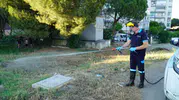 Balıkesir sinek ve haşereyle mücadeleyi 12 aya yaydı