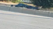 Adana'da sabah trafiğinde feci kaza