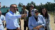 Şarköy’ün sokak hayvanlarına yeni doğal yaşam merkezi
