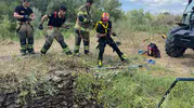 Diyarbakır'da su kuyusuna düşen yaban domuzunu itfaiye kurtardı