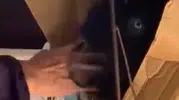 Adana'da dolmuş yolculuğuna şaşırtan misafir