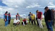 Kars’ta dolu yağışı tarlaları vurdu