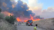 Edirne ormanlarına girmek 20 Haziran itibarıyla yasaklandı
