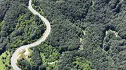 İnegöl ile Domaniç arasındaki o meşhur yol yeşile büründü