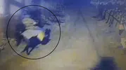 Kayseri'de atla kaçan katile çifte müebbet hapis cezası
