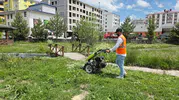 Ardahan’da yağmur sonrası ot temizliği mesaisi başladı