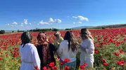 Elazığ yolunda doğal gelincik tarlası fotoğrafçılara kapılarını açtı