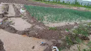 Malatya’da aniden bastıran dolu mahsulü vurdu