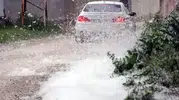 Erciş’te polenler yangın alarmı verdirdi