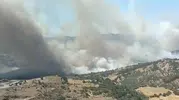 Dikili’de makilik alanda yangın paniği