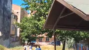 Yavru kargayı kurtarmak isterken annesinin hedefi oldu