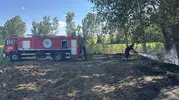 Muratlı’da hasat öncesi tarlalar alevlere teslim oldu