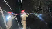 Dalaman ormanlarında gece yarısı korkutan yangın