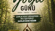 Denizlililer Dünya Yoga Gününde Çamlık Ormanı’nda buluşuyor