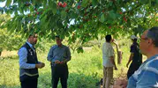 Bilecik’te dolu felaketi sonrası tarlalarda hasar tespiti başladı