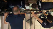 Edirne’de kütüphaneye sığınan hamile kedi için duvarları yıktılar