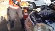 Hendek'te otomobilin kaputuna giren davetsiz misafir