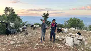 Gülnar'da kaybolan 40 koyun dron yardımıyla bulundu