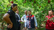Denizli’de kiraz mevsimi açıldı