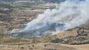 Çanakkale Ezine’de orman yangını korkuttu